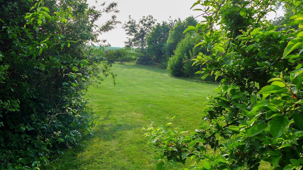 Photo of Outdoor in Hessenburg