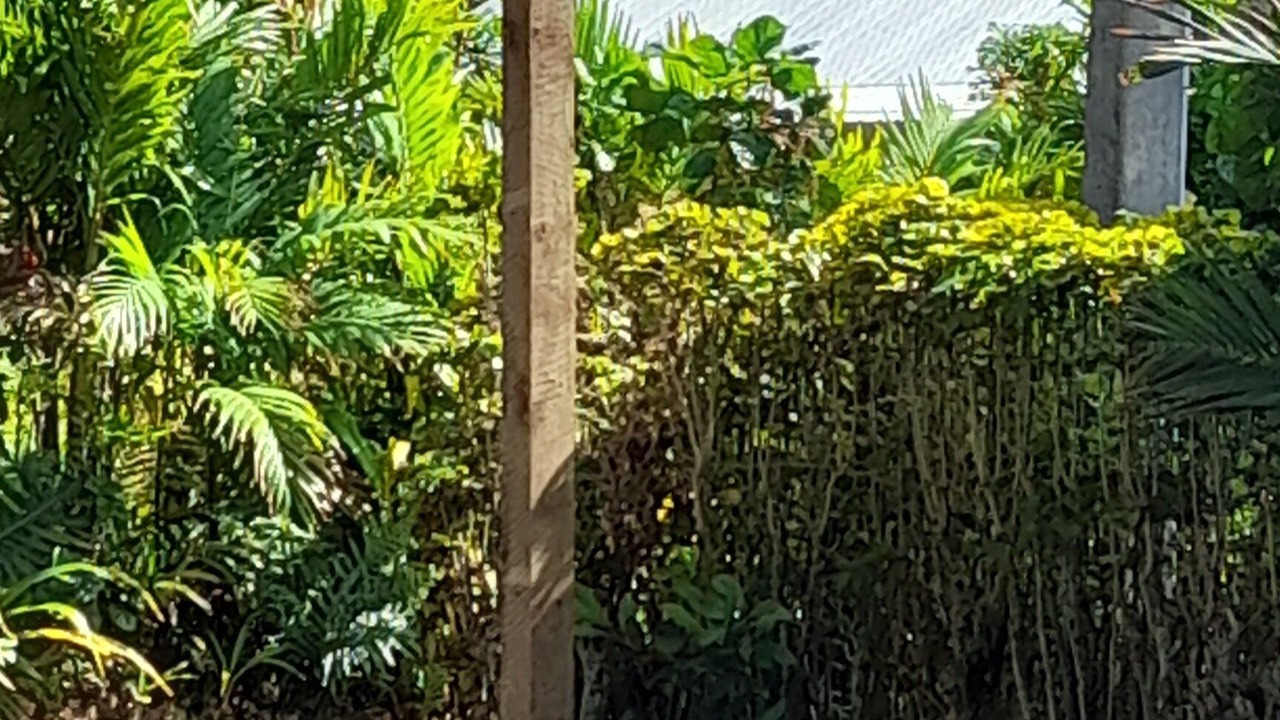 Photo of Others in Takitumu District