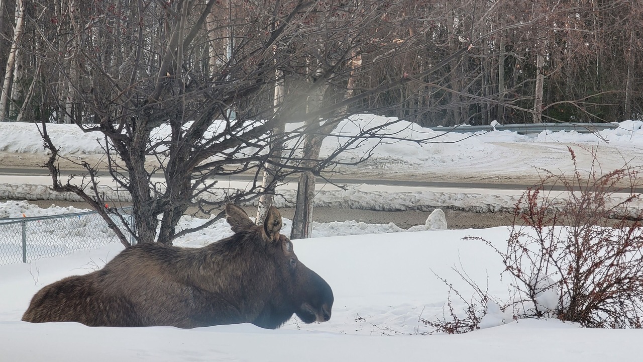 Photo of Outdoor in Old Seward - Oceanview
