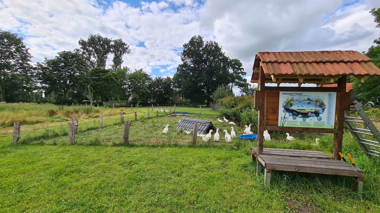 Photo of Outdoor in Wilsum