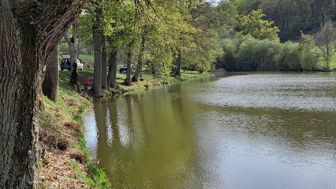 Photo of Outdoor in Auzances