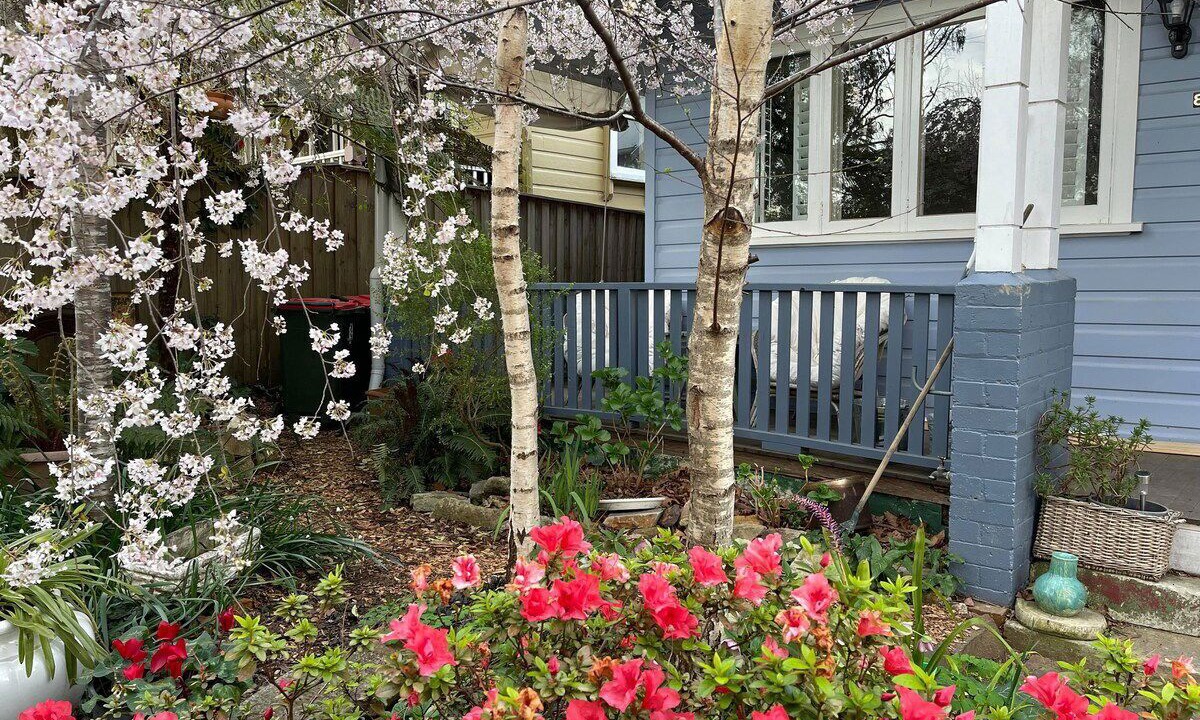 Photo of Outdoor in Katoomba