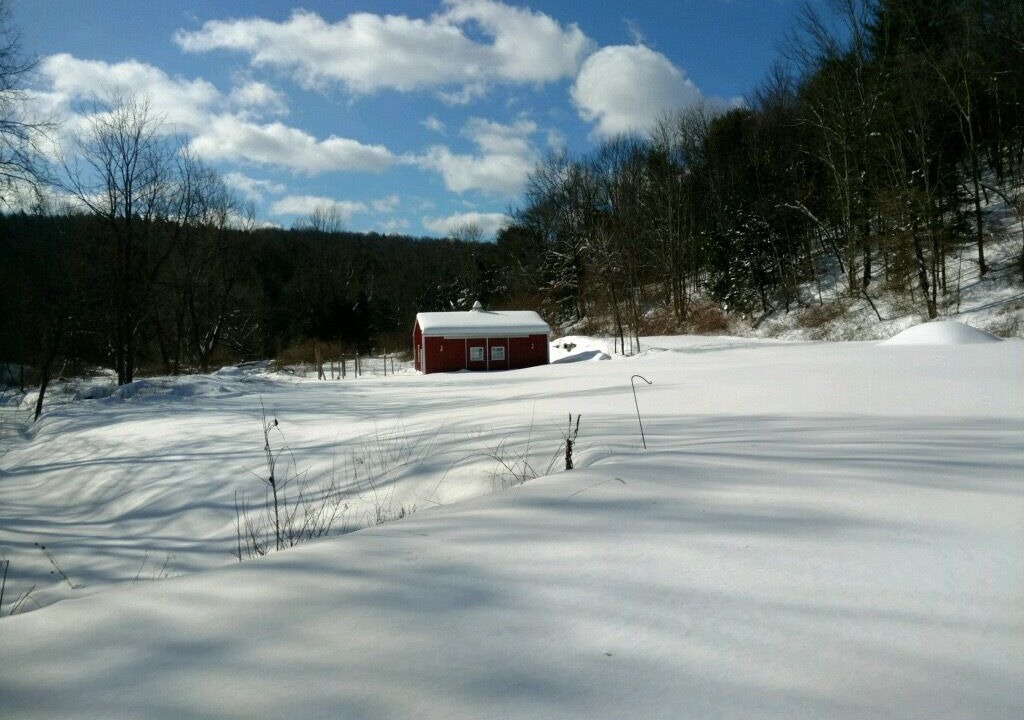 Photo of Outdoor in Mehoopany