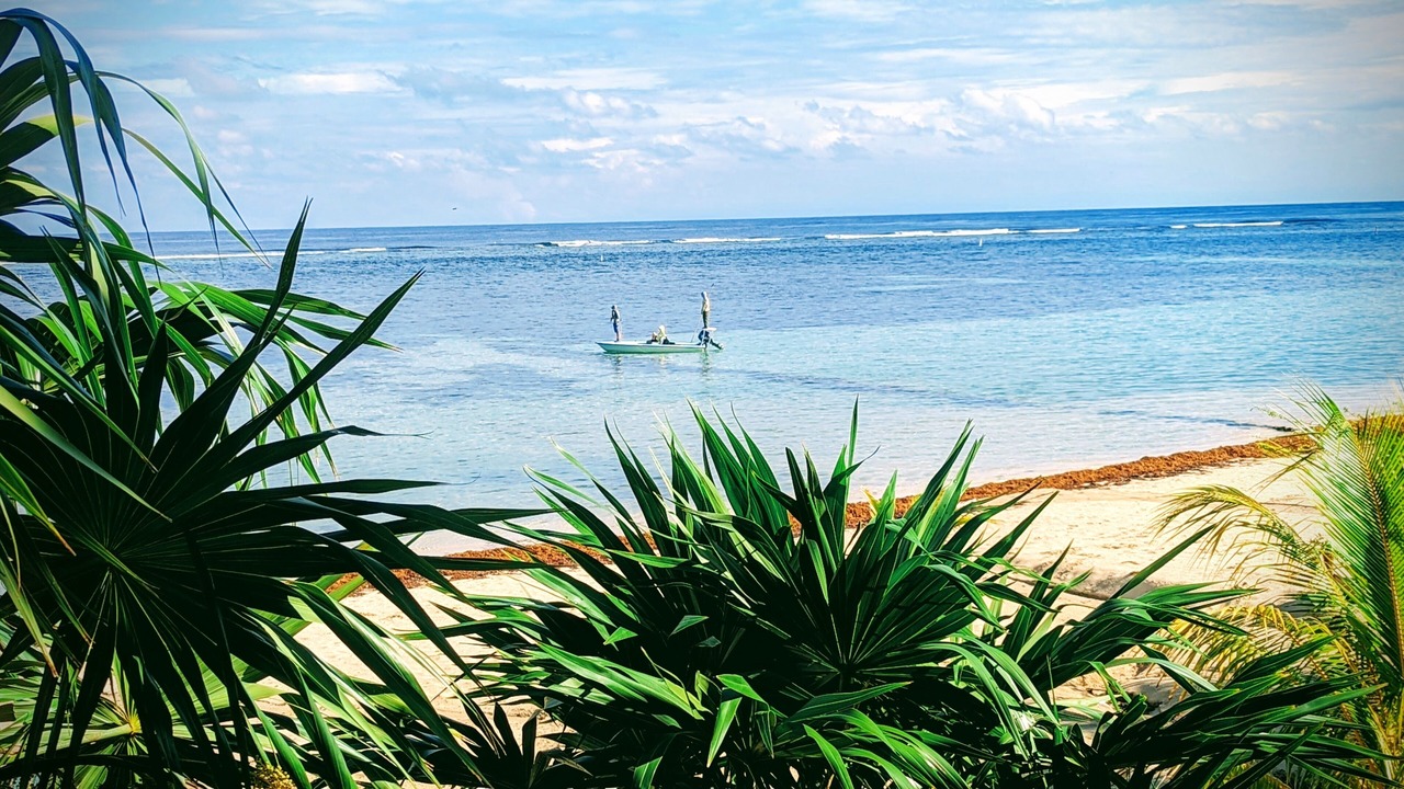 Photo of Others in Roatan