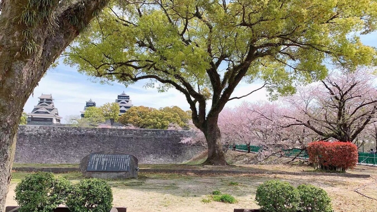 Photo of Outdoor in Chuo Ward
