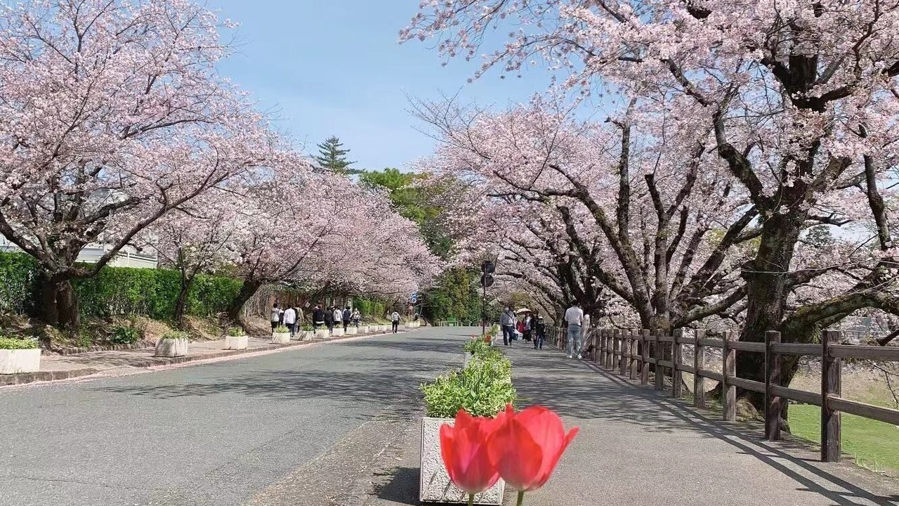 Photo of Outdoor in Chuo Ward