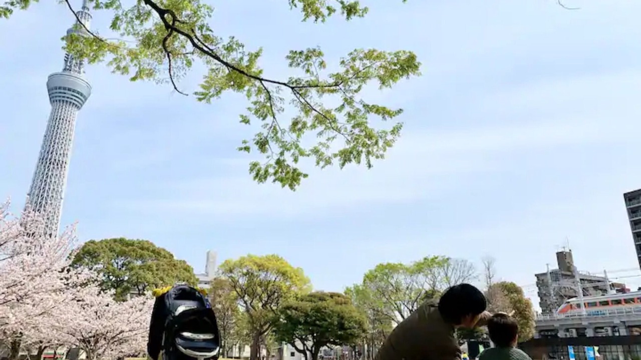 Photo of Others in Sumida