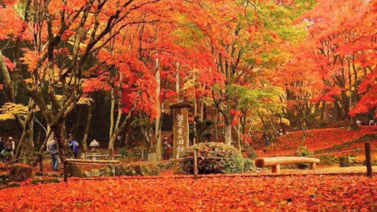 Photo of Outdoor in Nagahama