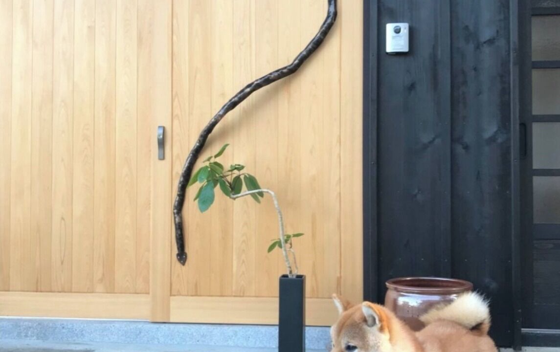 Photo of Outdoor in Nagahama