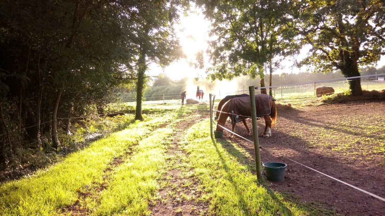 Photo of Outdoor in Plogonnec