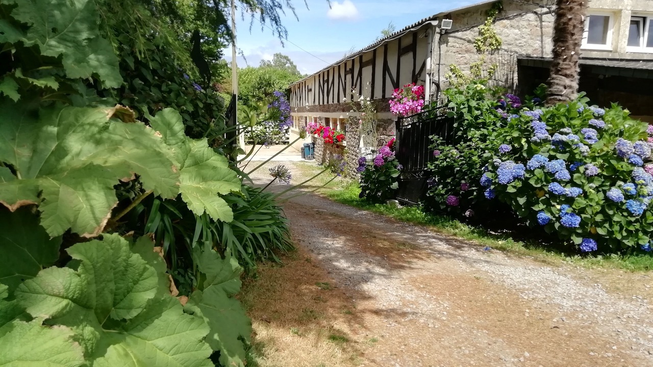 Photo of Outdoor in Plogonnec