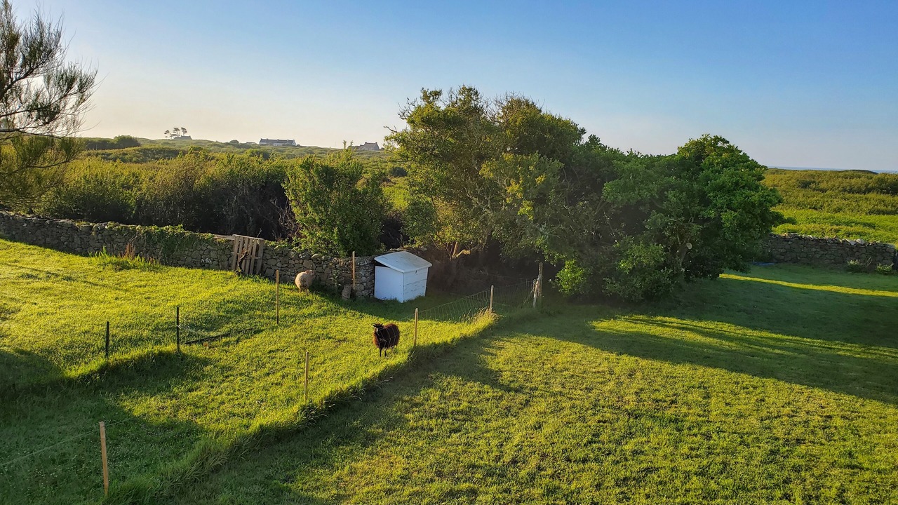 Photo of Outdoor in Ushant