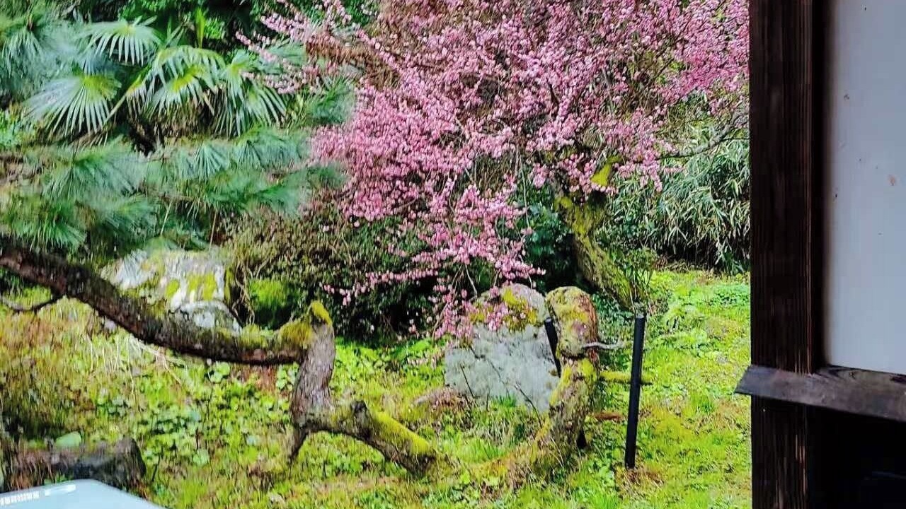 Photo of Others in Nagahama