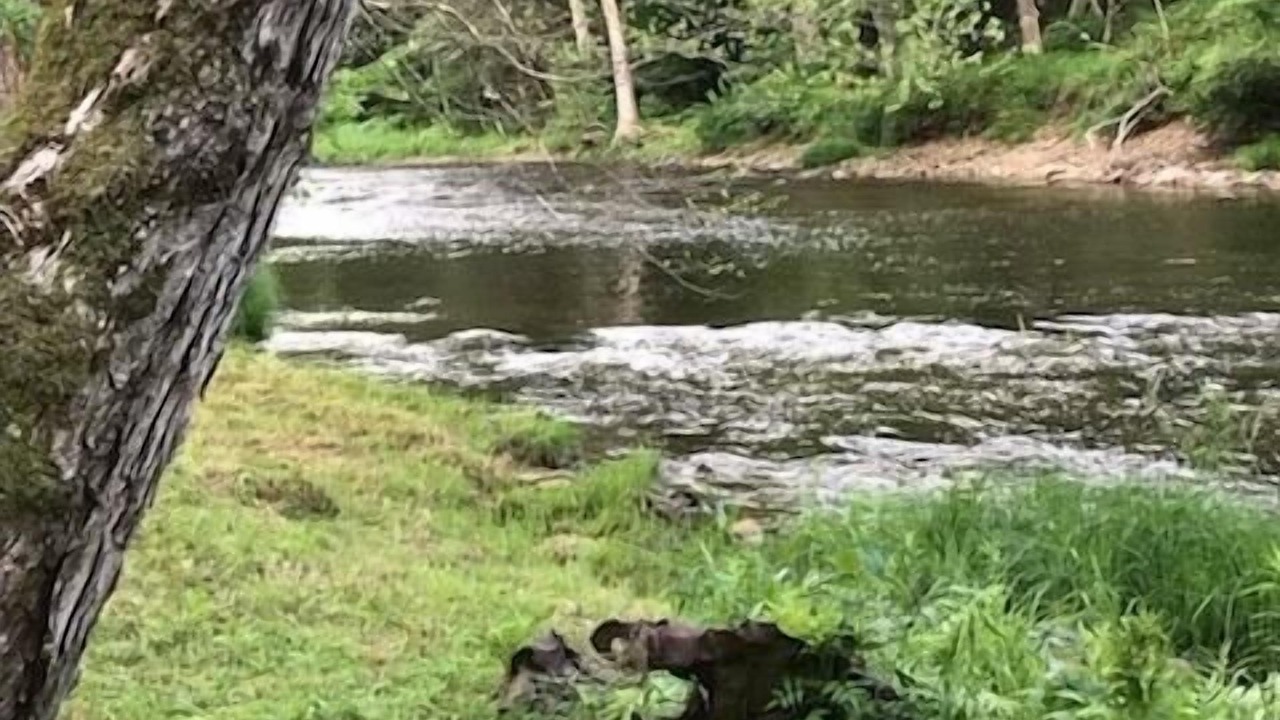 Photo of Outdoor in Hyner