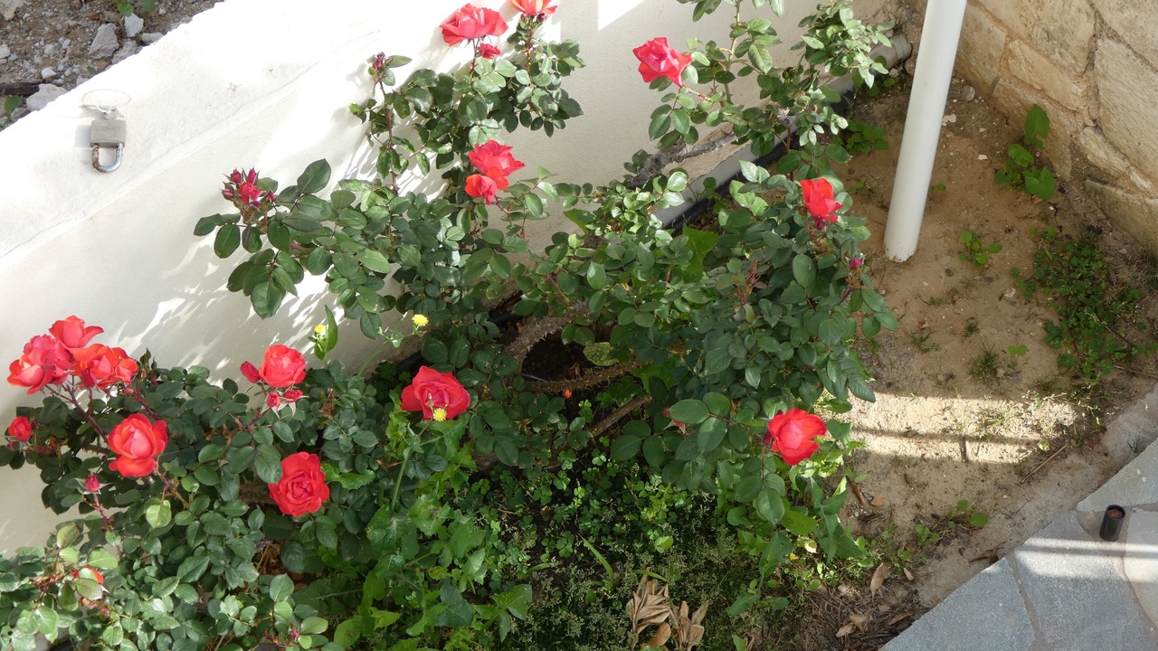 Photo of Outdoor in Kato Galatas