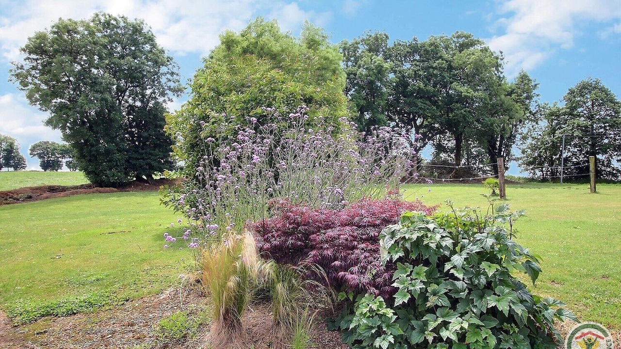 Photo of Outdoor in Carnoet