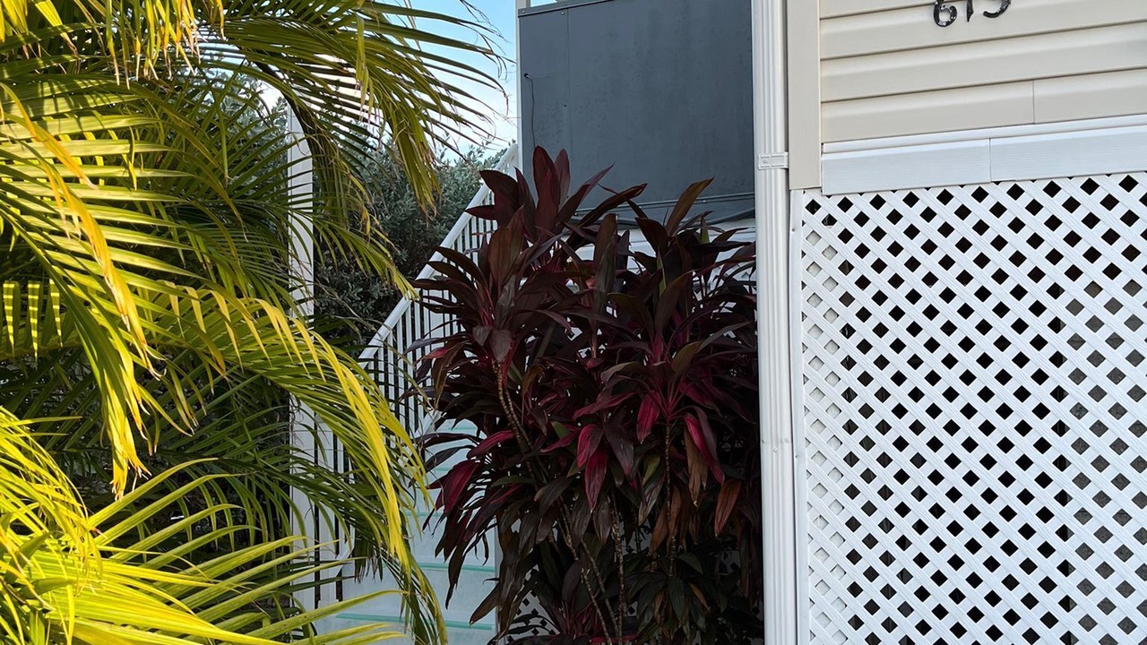 Photo of Outdoor in Cudjoe Key