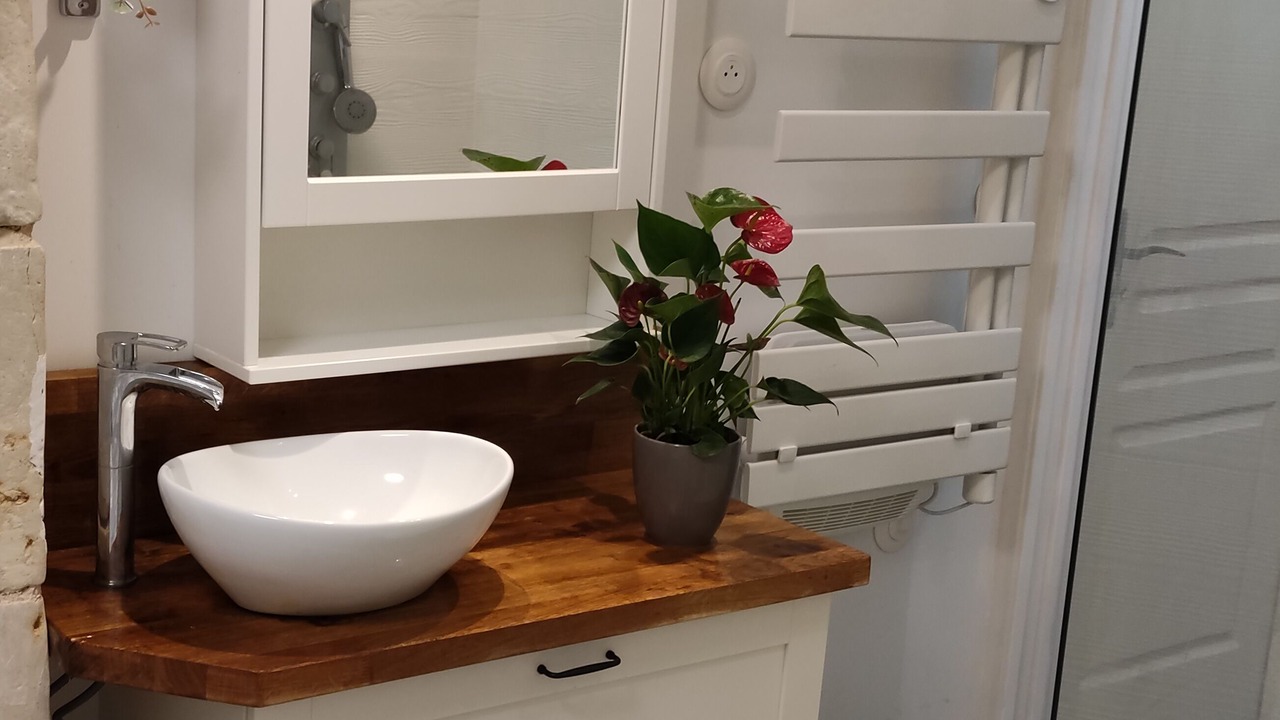Photo of Bathroom in Les Roches-l'Eveque