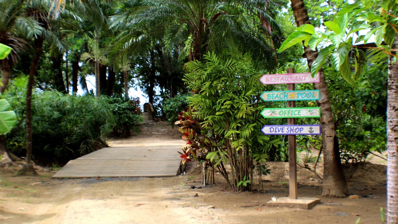 Photo of Outdoor in Palmetto Bay