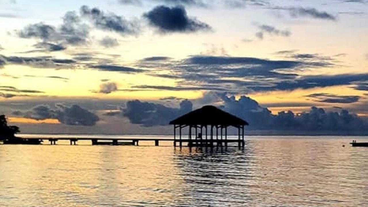 Photo of Others in Palmetto Bay