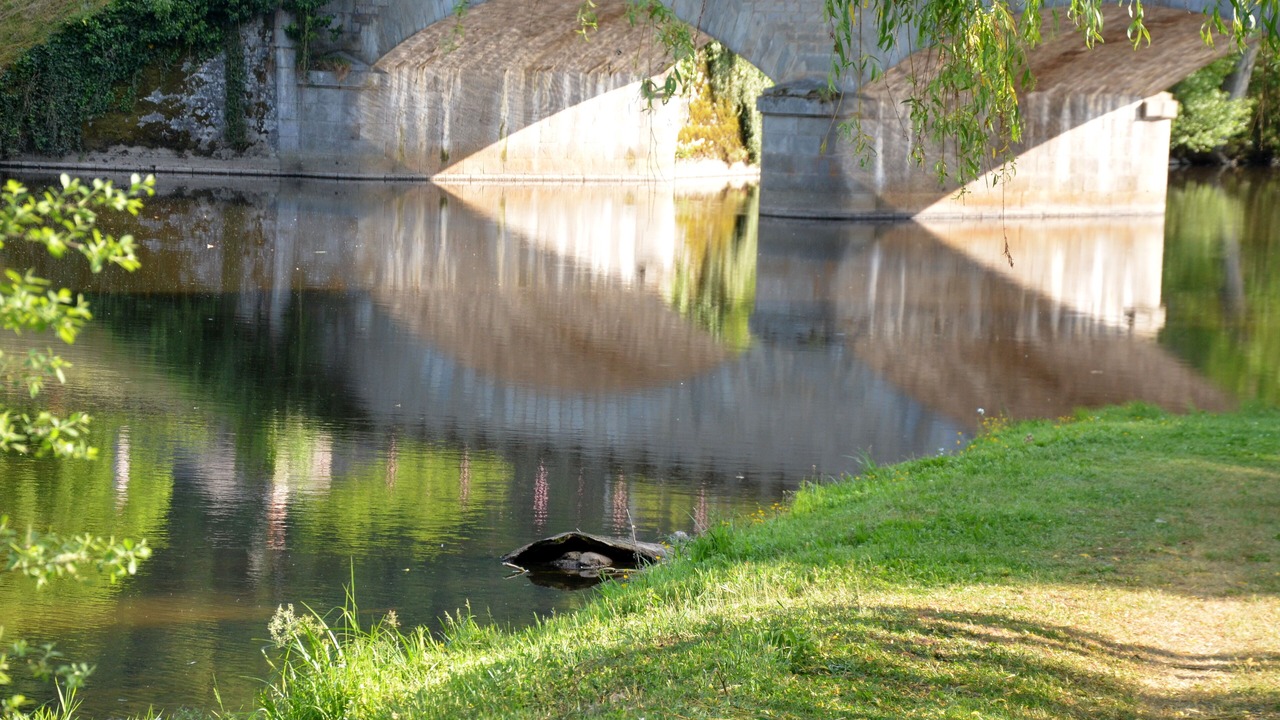 Photo of Outdoor in Chambon-sur-Voueize