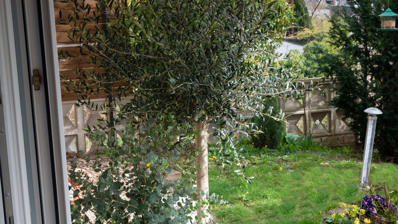 Photo of Outdoor in Mendig