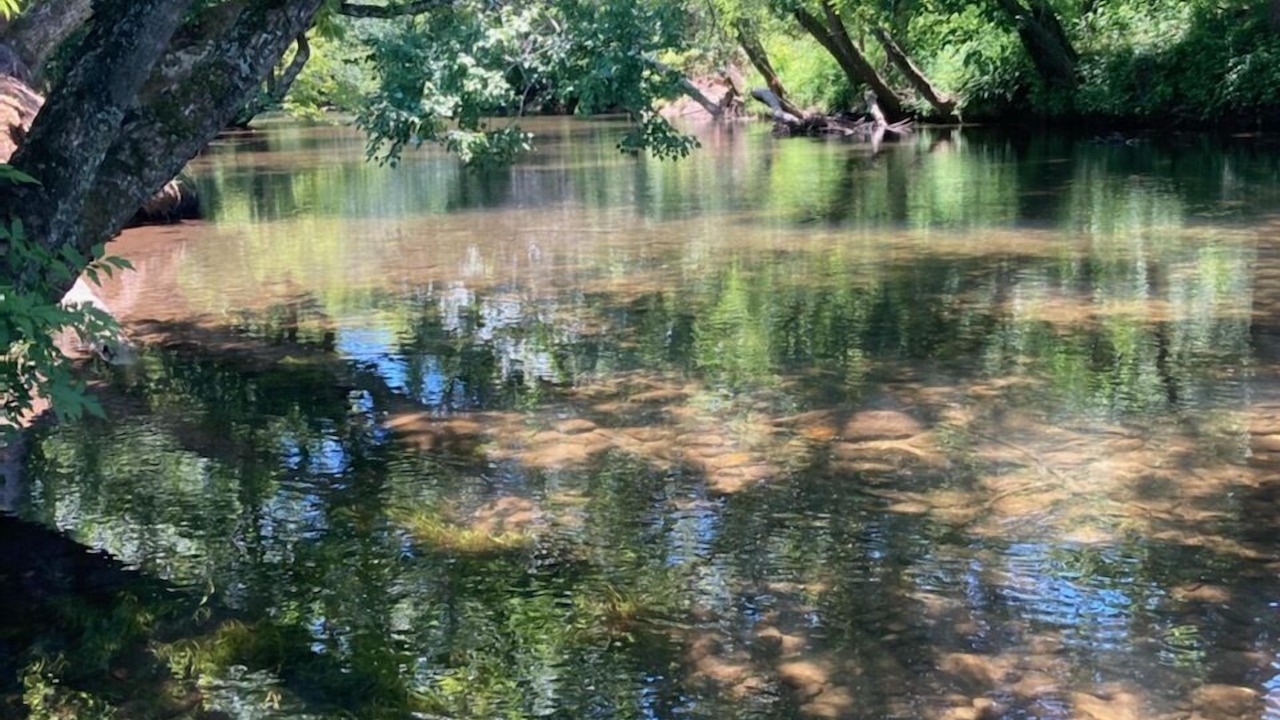 Photo of Others in Hiawassee