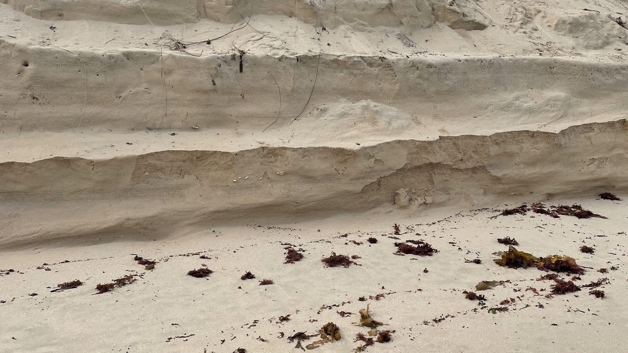 Photo of Others in Dongara