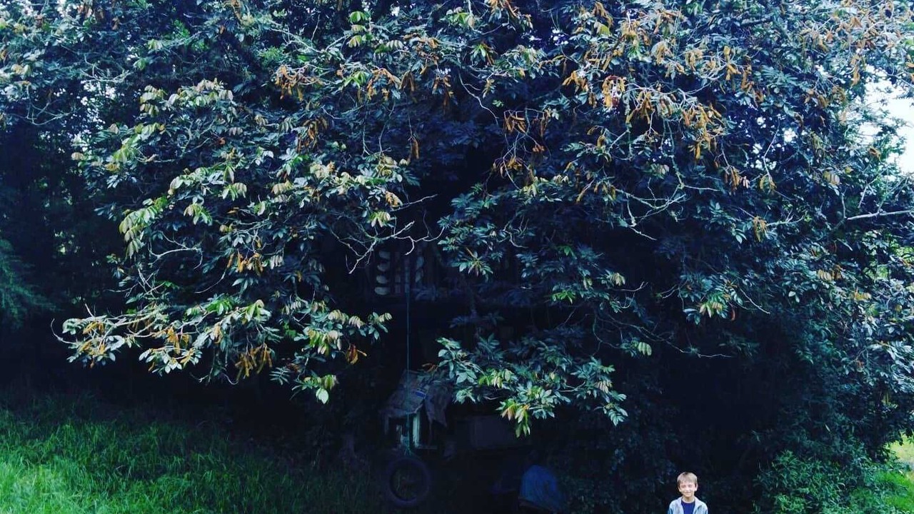 Photo of Outdoor in Quito