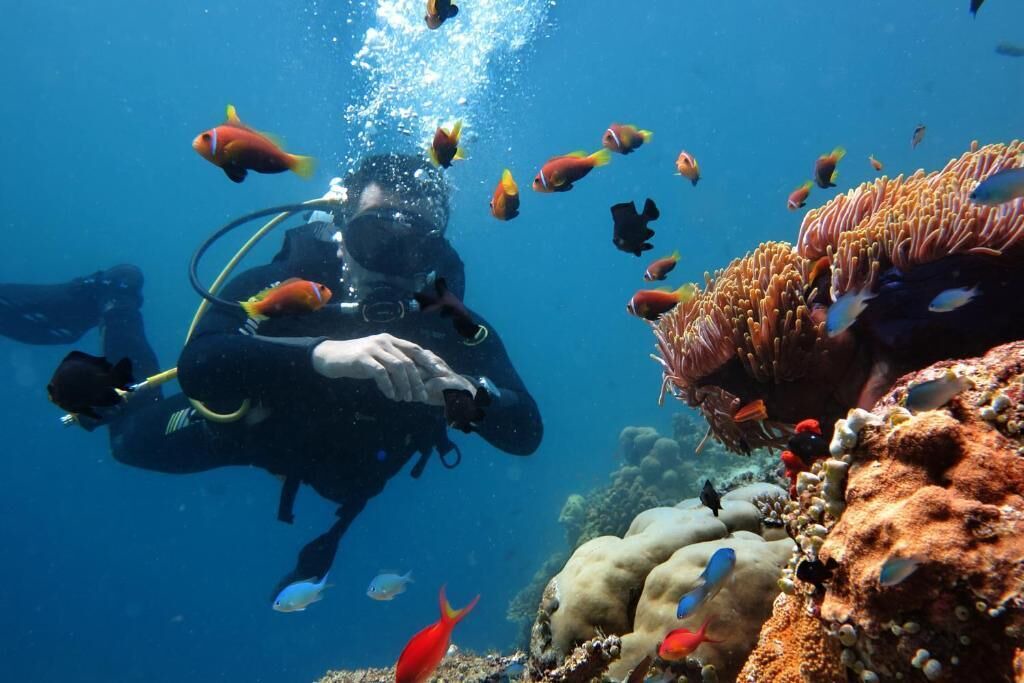 Photo of Others in Maafushi