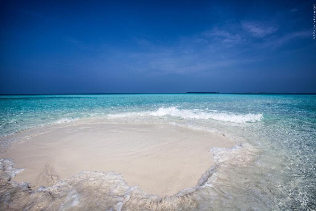 Photo of Others in Maafushi