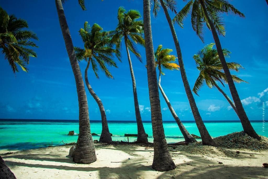 Photo of Others in Maafushi