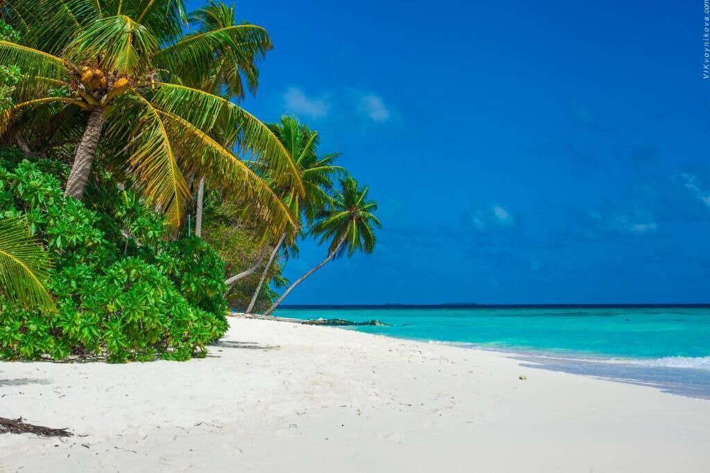 Photo of Others in Maafushi