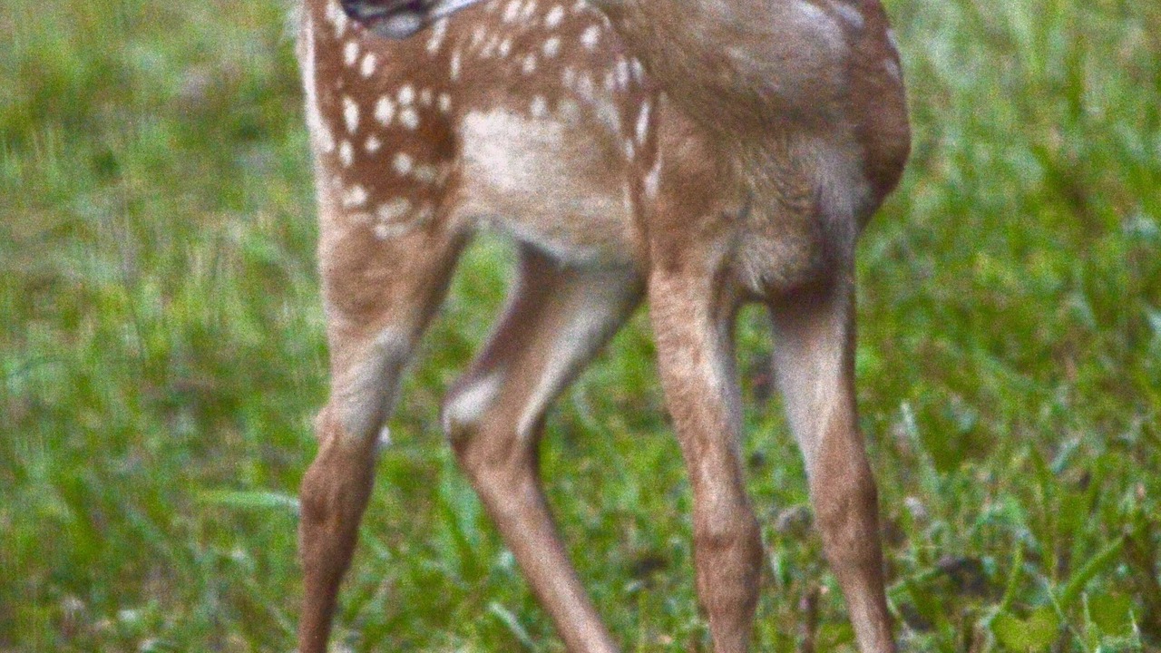 Photo of Outdoor in Elliottsburg