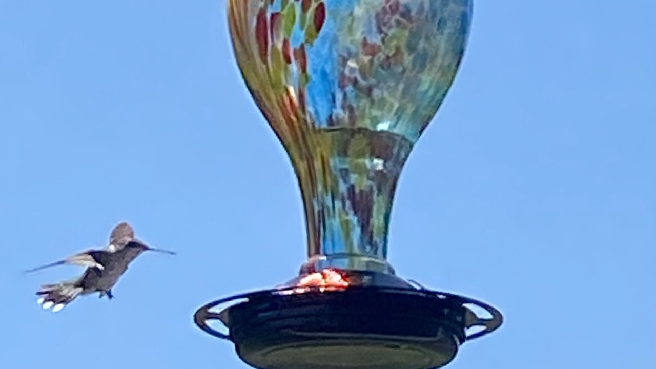 Photo of Others in Elliottsburg