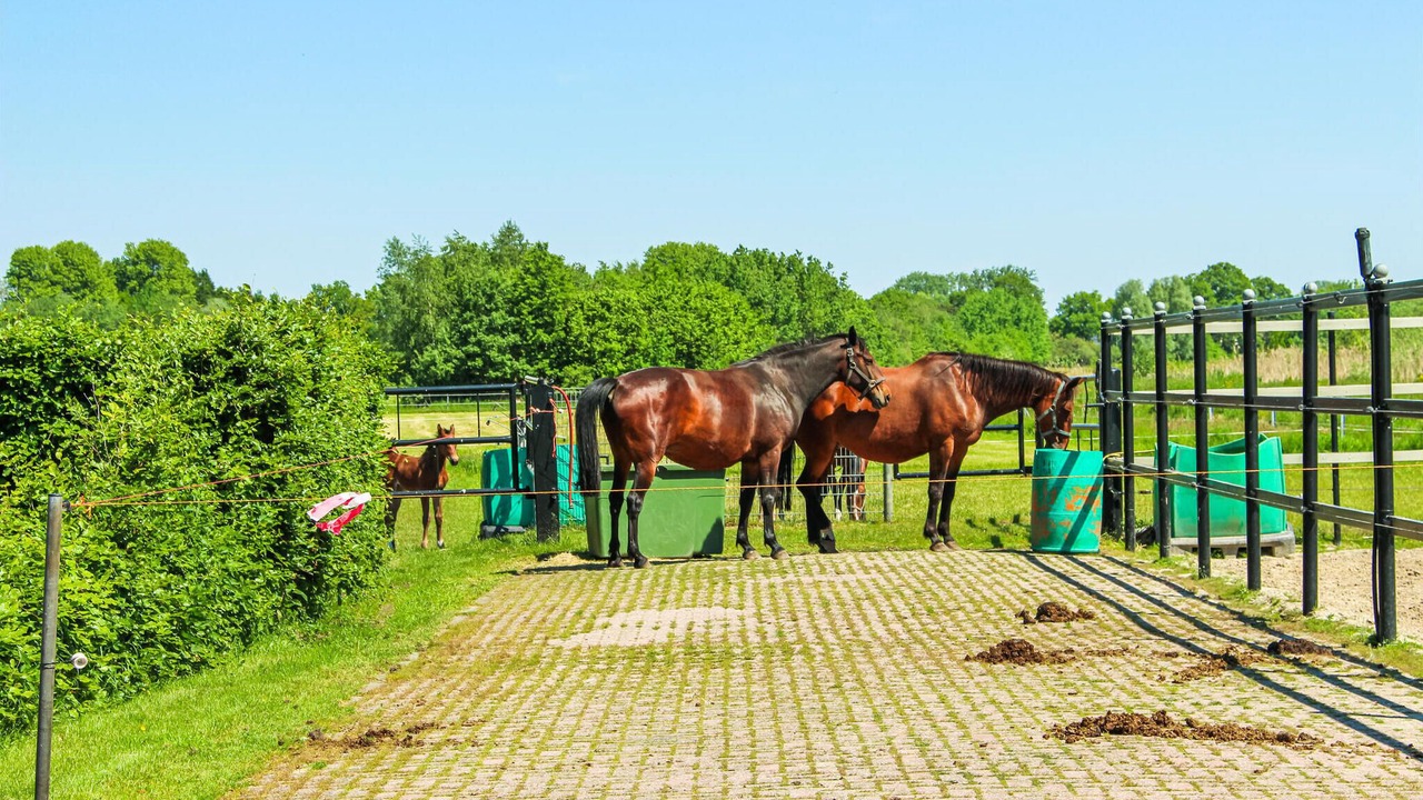 Photo of Others in Udenhout