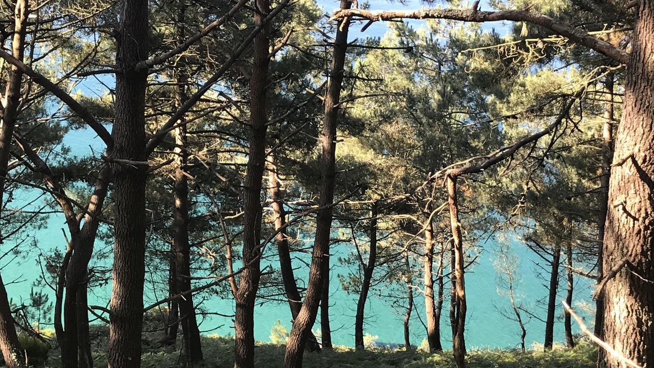 Photo of Others in Telgruc-sur-Mer