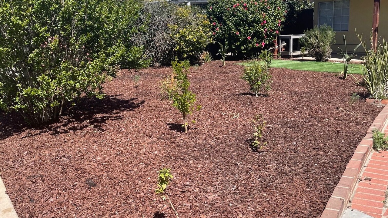 Photo of Outdoor in Lake Balboa