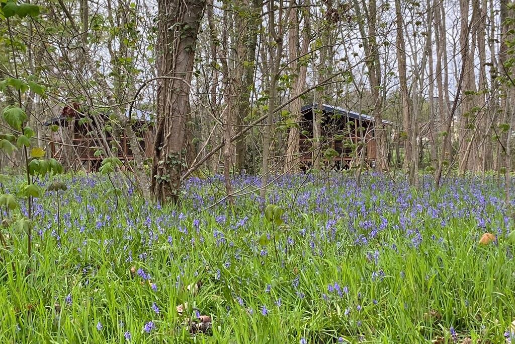 Photo of Outdoor in Sille-le-Philippe