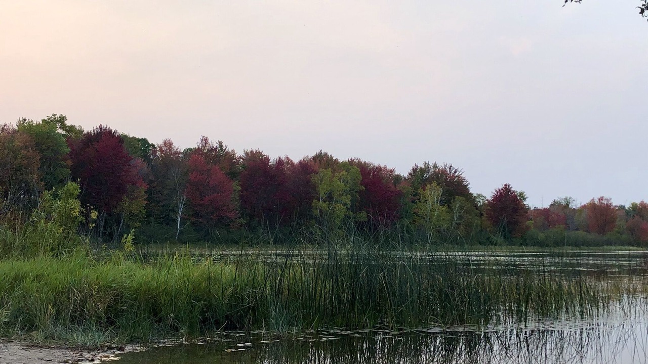 Photo of Outdoor in Ingalls