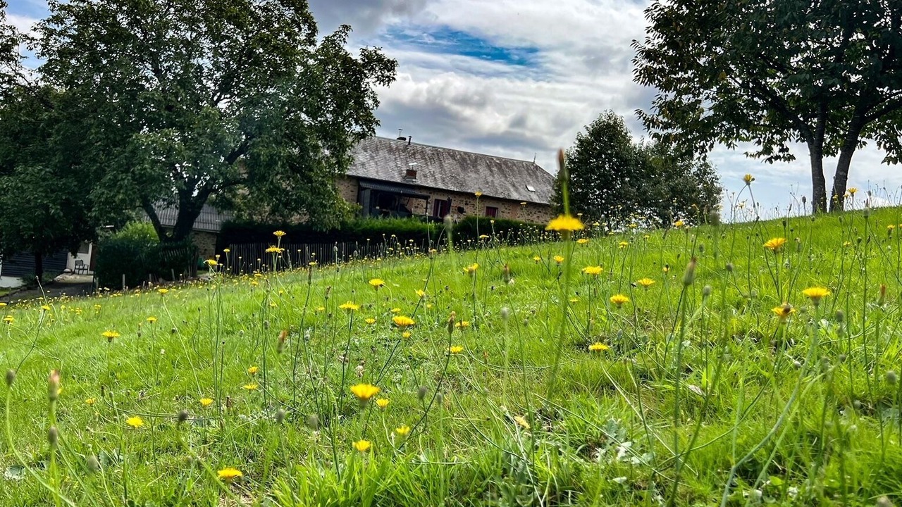 Photo of Outdoor in Saint-Pierre-de-Frugie