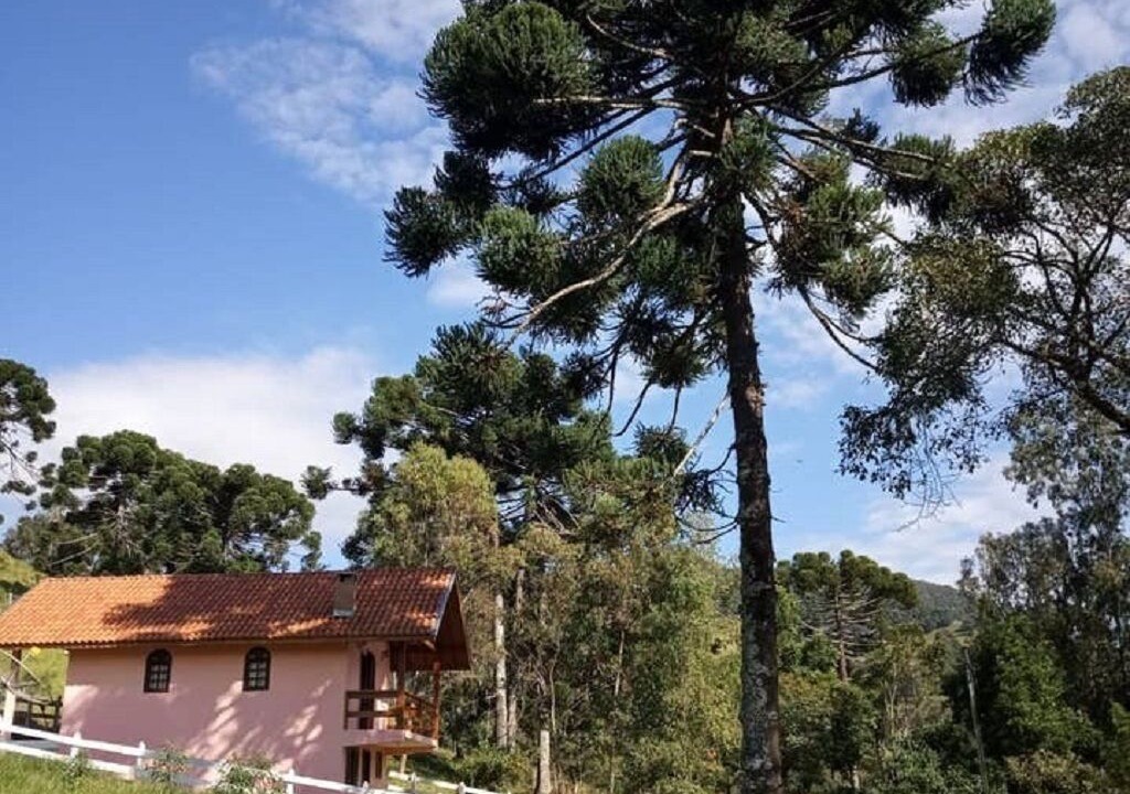Photo of Outdoor in Paraisopolis