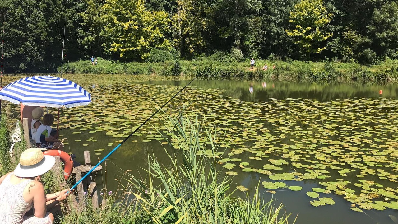 Photo of Outdoor in Sille-le-Philippe