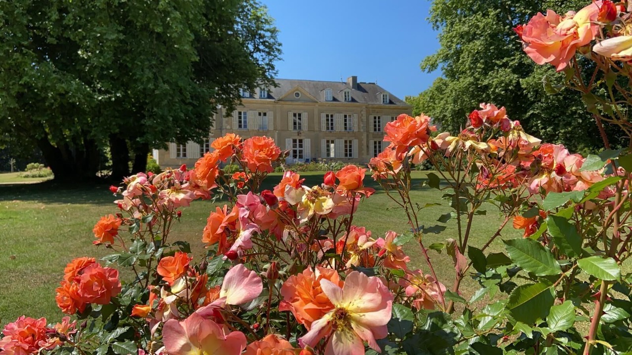 Photo of Outdoor in Sille-le-Philippe