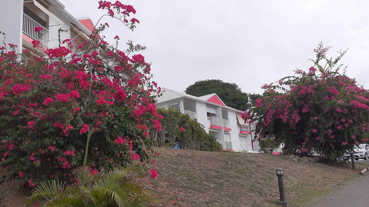 Photo of Outdoor in L'Autre-Bord