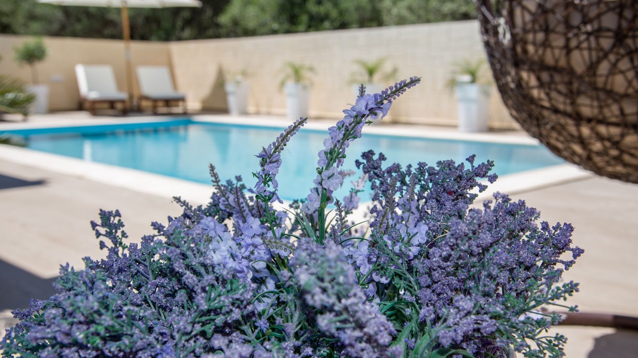 Photo of Outdoor in Agia