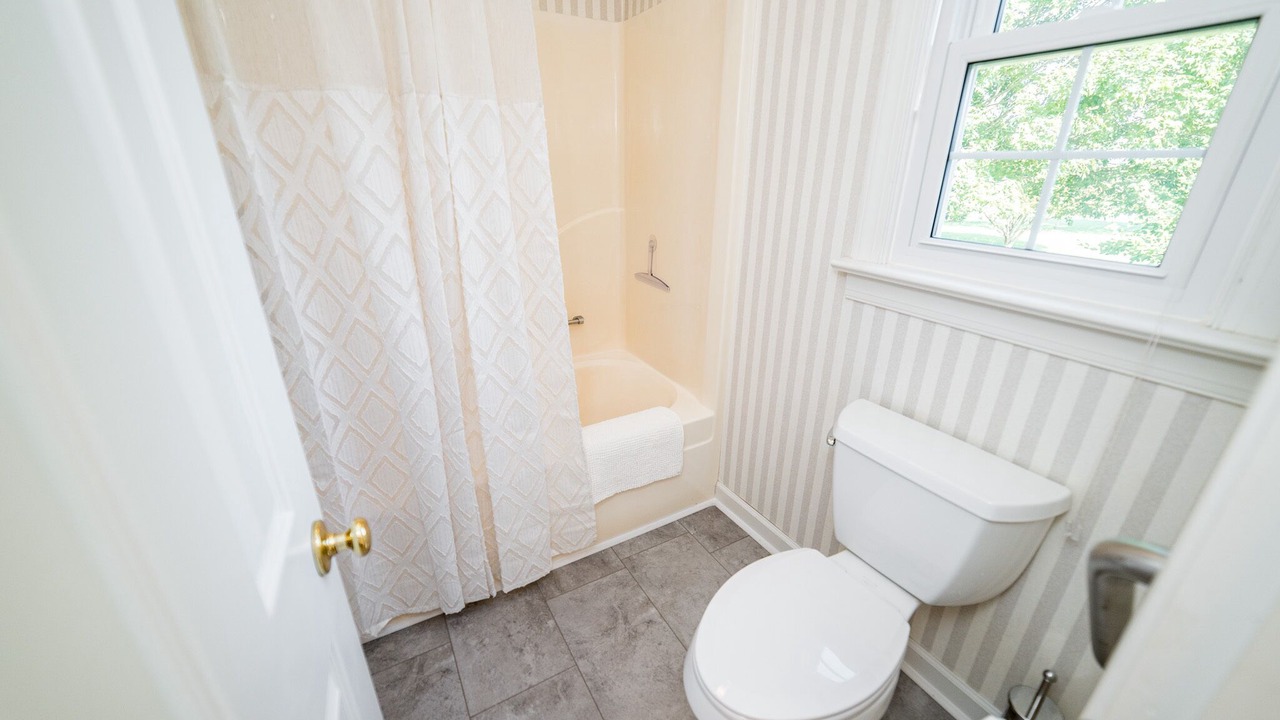 Photo of Bathroom in Forest