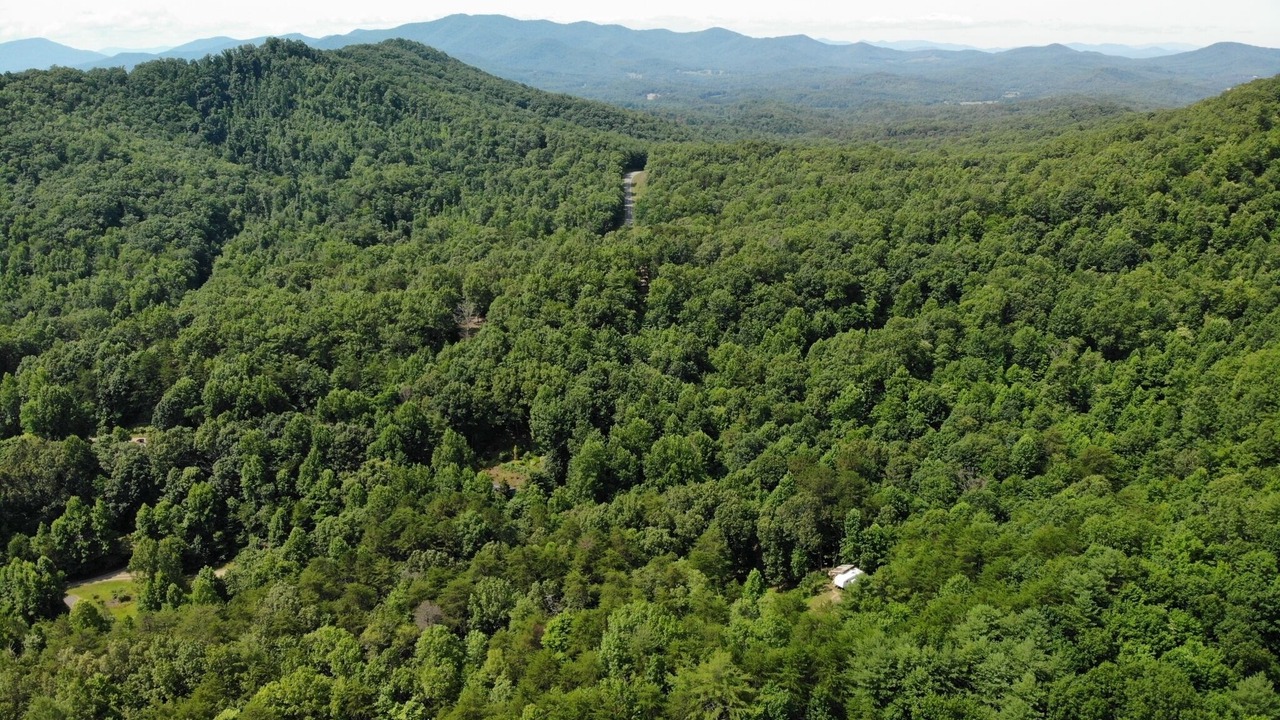 Photo of Others in Hayesville
