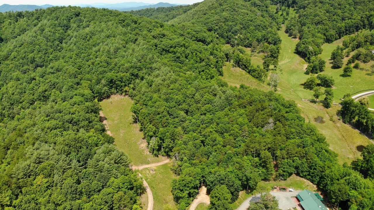 Photo of Others in Hayesville