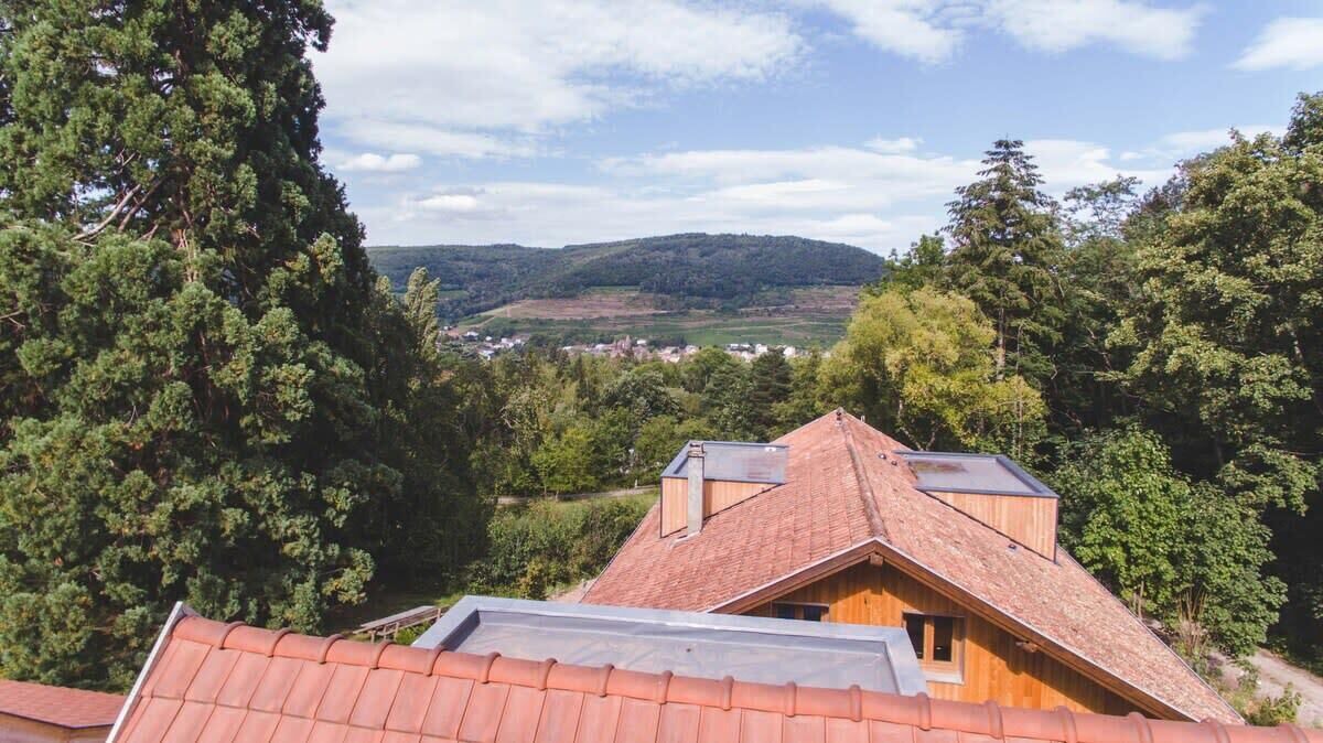 Photo of Outdoor in Guebwiller